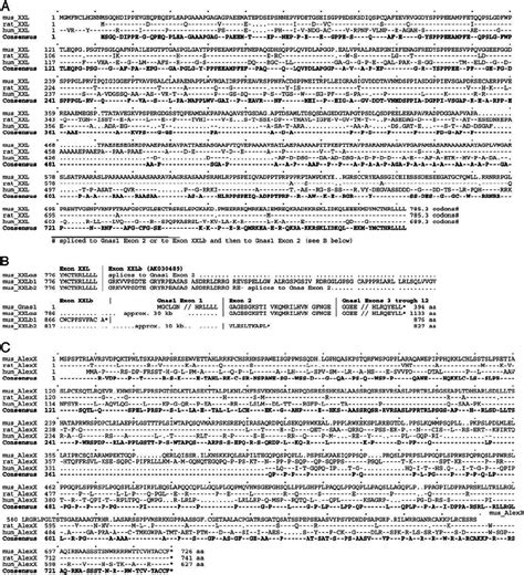 aeyxx|AEYXX Analysis .